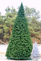 МВ-600/1